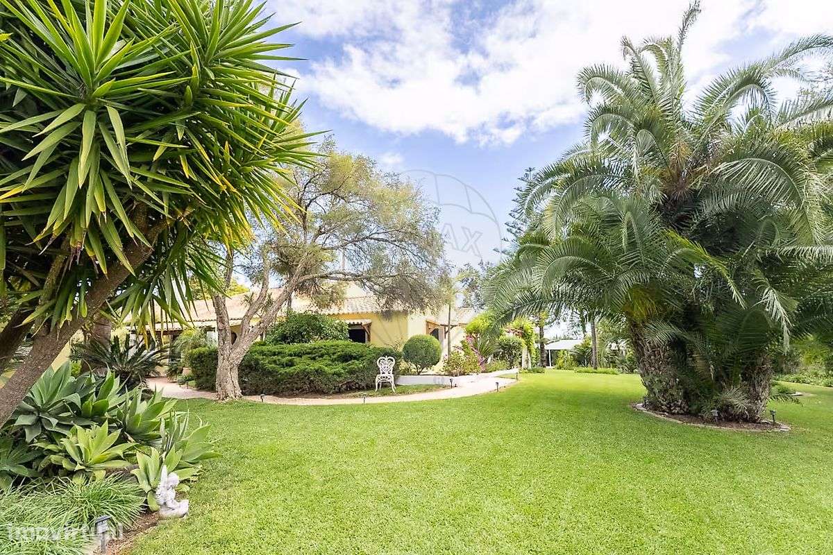 Quinta T7 para venda - Grande imagem: 3/50