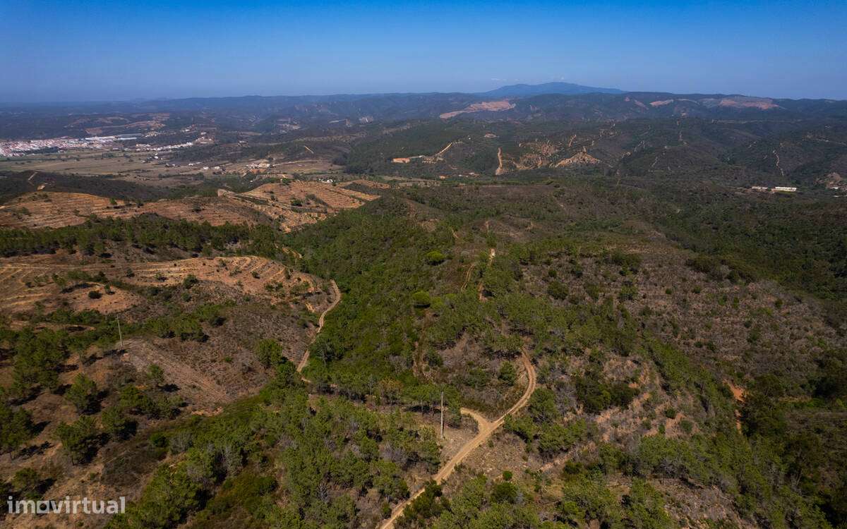 Herdade Moinho Corisco-10