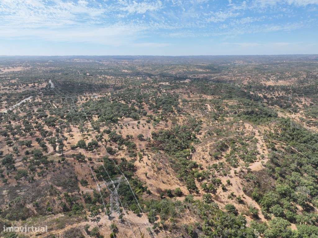 HERDADE COM 100 HECTARES E BASTANTE ARBORIZAÇÃO-56