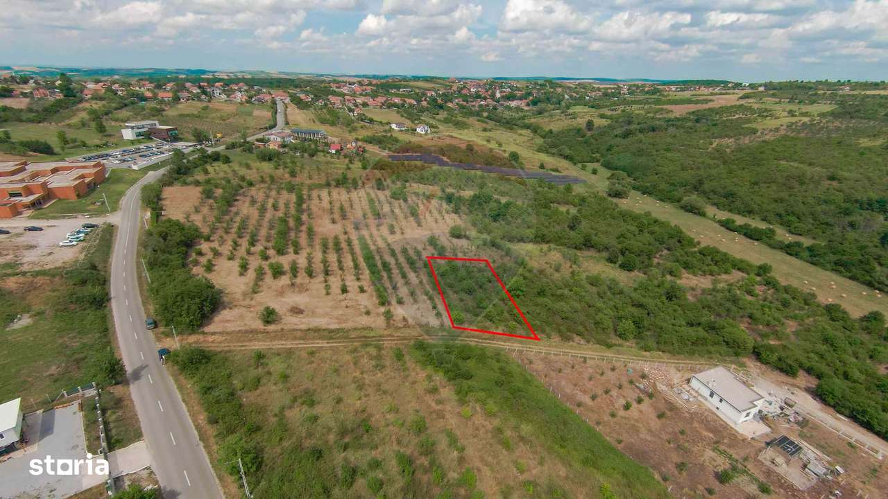 Teren intravilan 1,163mp de vânzare în Săldabagiu De Munte - Imagine principală: 3/9