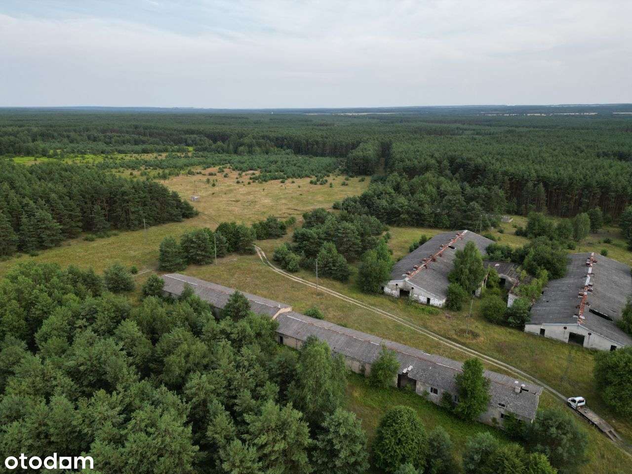 Zabudowane działki z własną stacją TRAFO - 24,46ha - Pełny obrazek: 2/3