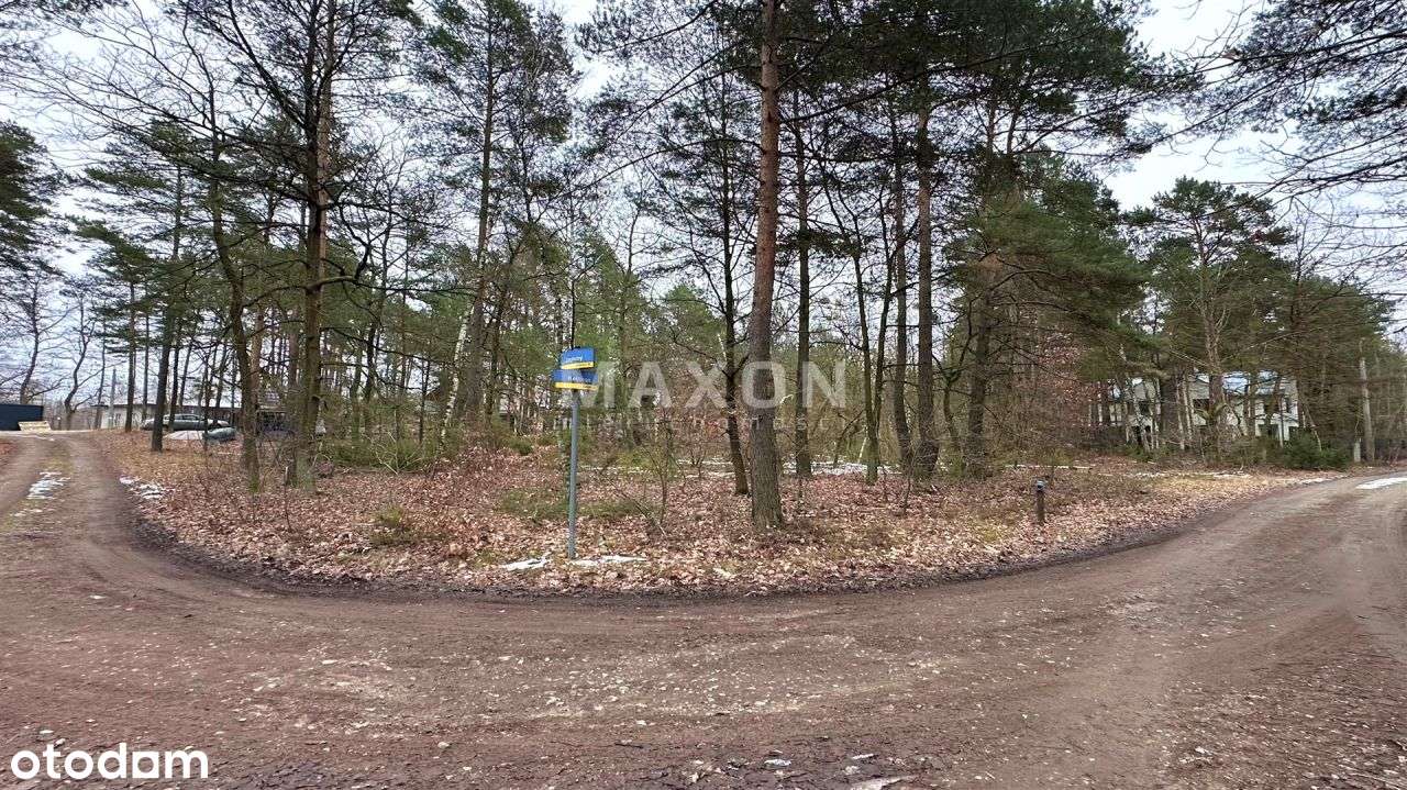 Izabelin B – działka 2 213 mkw. pod rezydencję las - Pełny obrazek: 4/17