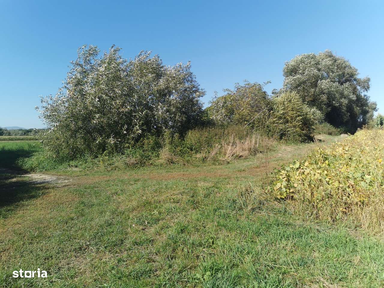 TEREN AGRICOL DE VANZARE, ZONA KILER 35 ARI - Imagine principală: 5/11