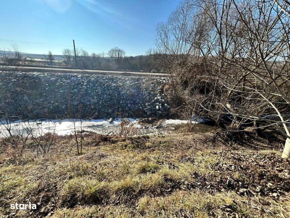 Teren intravilan pentru casa 2400 mp front 16ml Radaia sub pretul piet - Imagine principală: 5/5