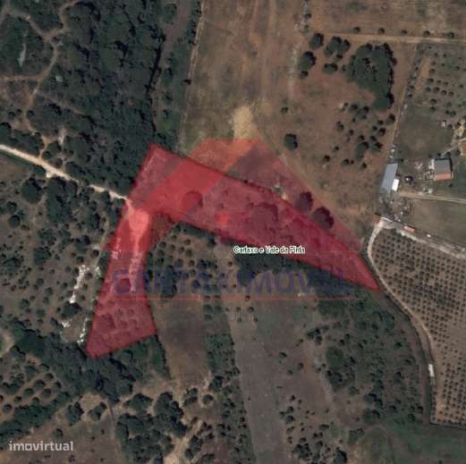 Terreno Rústico  Venda em Cartaxo e Vale da Pinta,Cartaxo - Grande imagem: 3/12