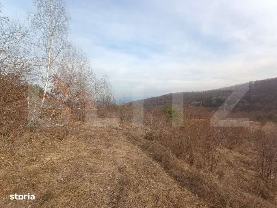 Teren extravilan, 12000 mp, curent com. Ramet - Imagine principală: 3/7