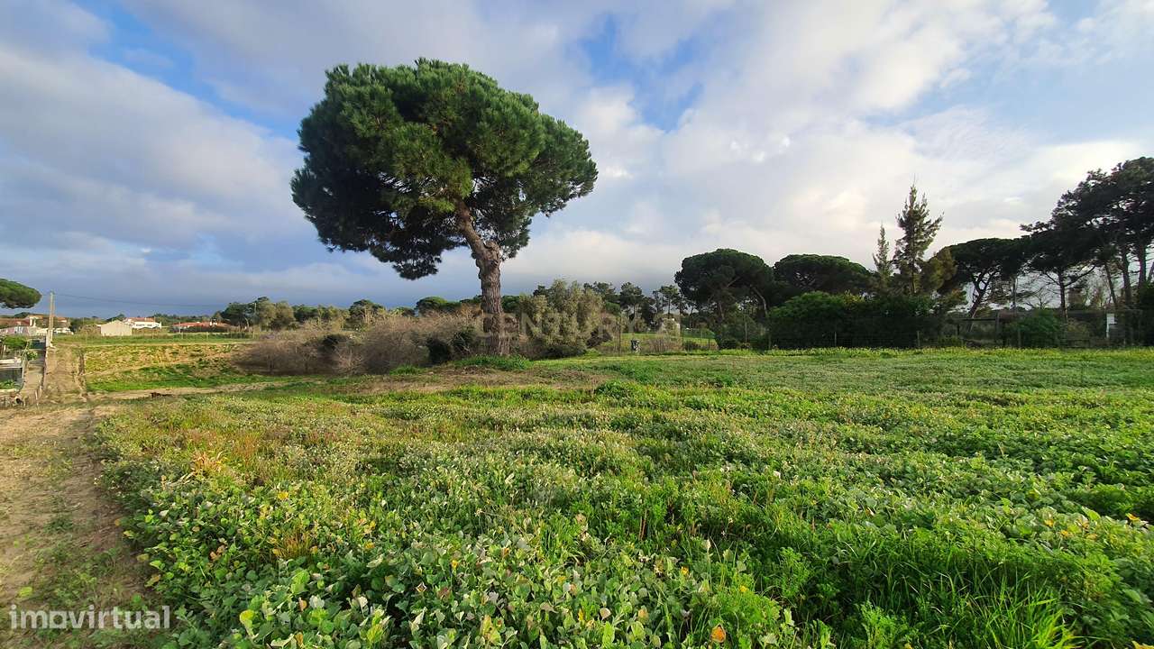 Terreno no meco para apoio agricola ou empreendimento turistico.-8