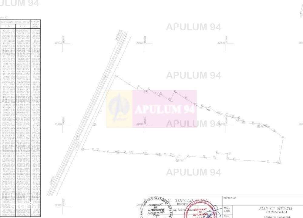 Teren 40ha Adunatii Copăceni | Industrial/ Logistic - Imagine principală: 3/6