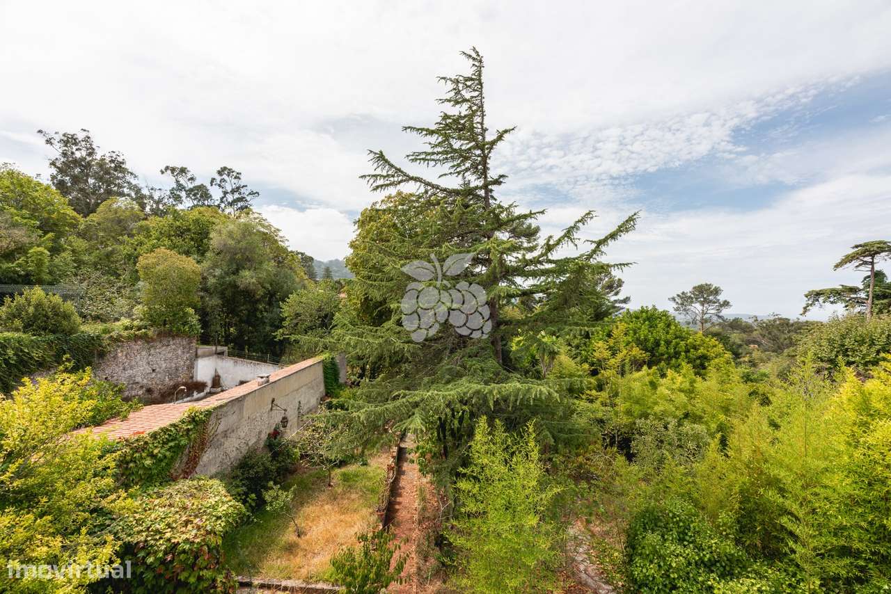 Moradia histórica T6  em Sintra com jardim, piscina e garagem-54
