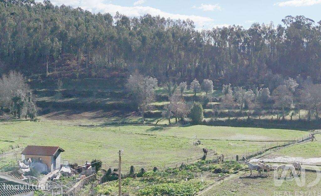 Casa rústica em Sobradelo da Goma de 390 m2 - Grande imagem: 4/4