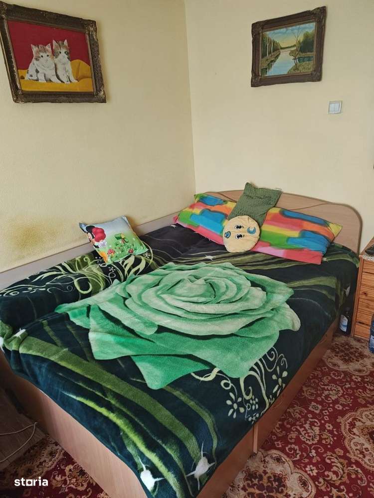 Casa / Zona Calimanesti / Valcea / - Imagine principală: 4/8