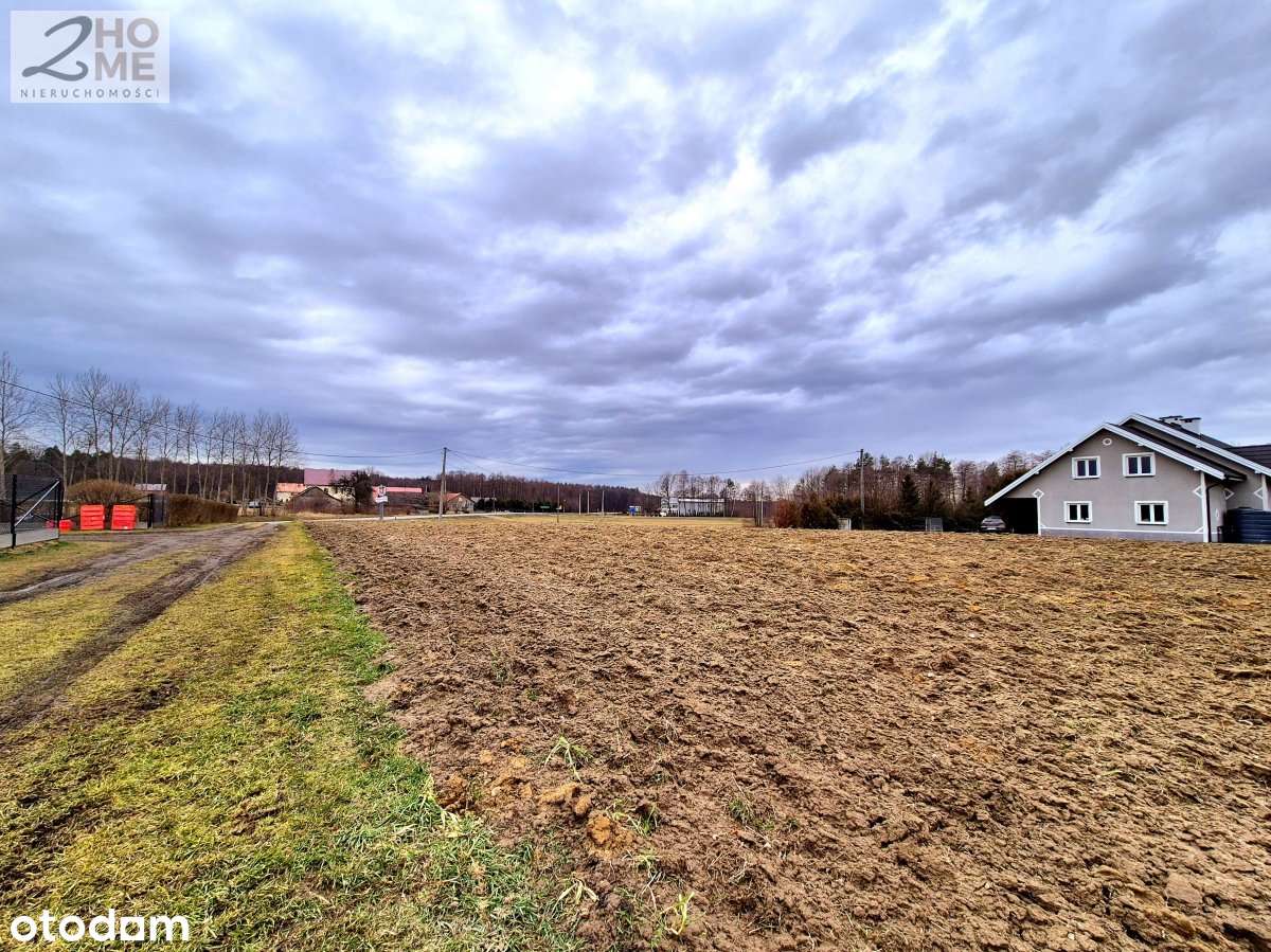 40 arów z WZ w Janowcu-9