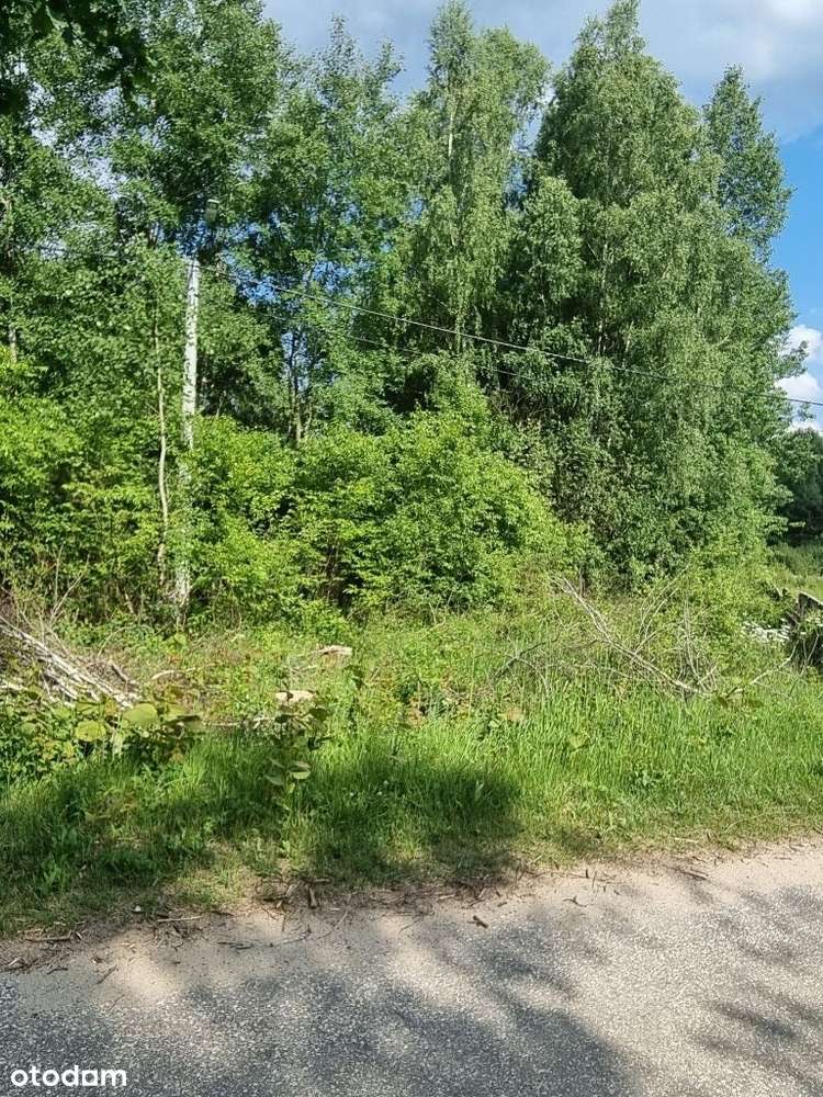 Do sprzedania działka 29ar z warunkami zabudowy - Pełny obrazek: 5/5