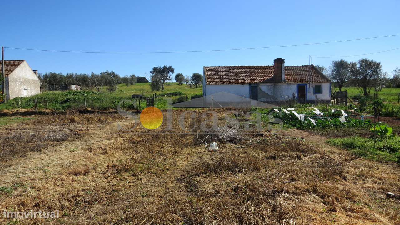 Quinta perto de Alcácer do Sal-0
