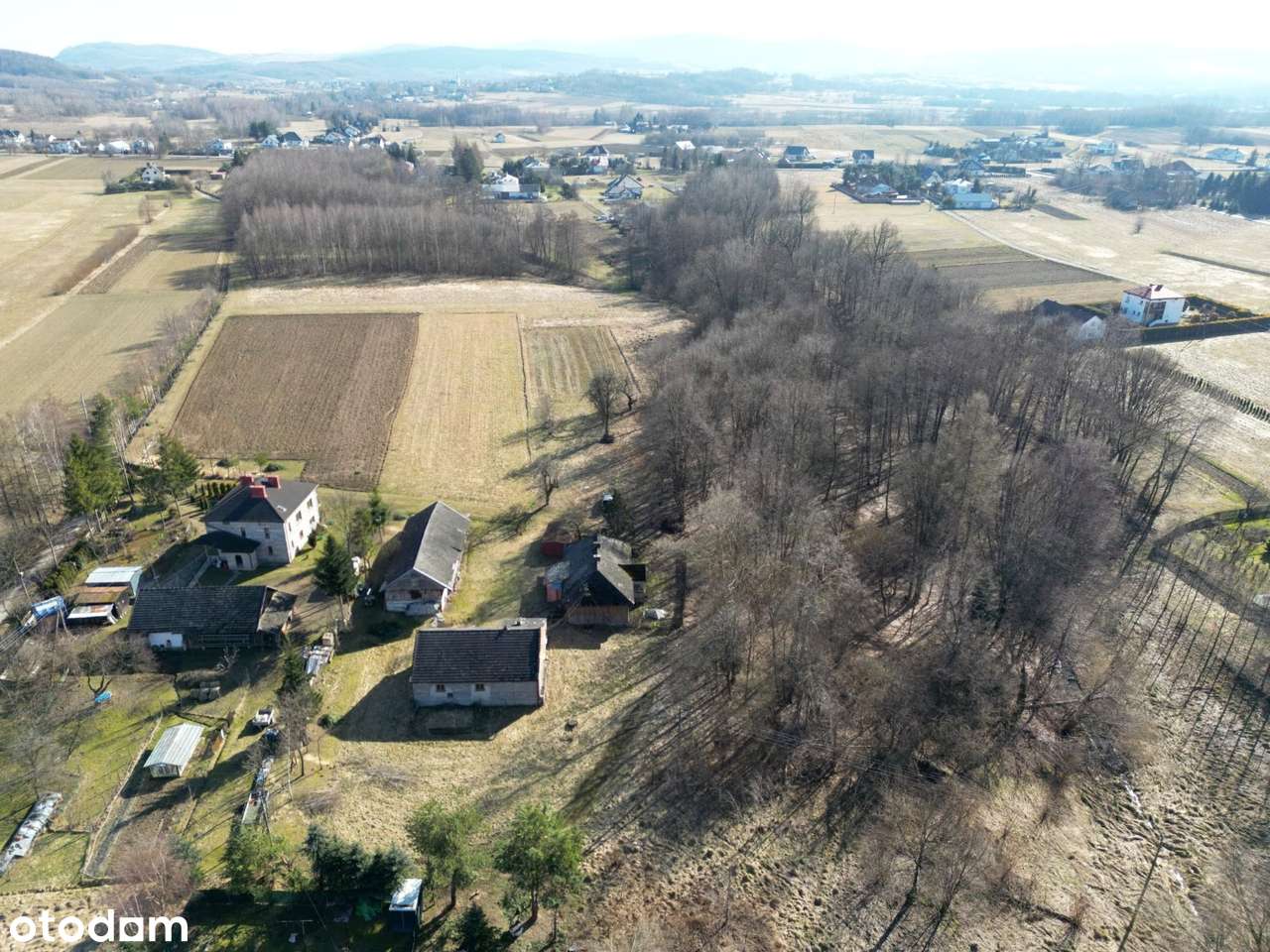 Gospodarstwo z własnym lasem – 1,25 ha spokoju i możliwości-11