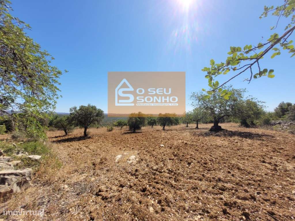 Terreno Rústico - 4.800 M² - Grande imagem: 5/11