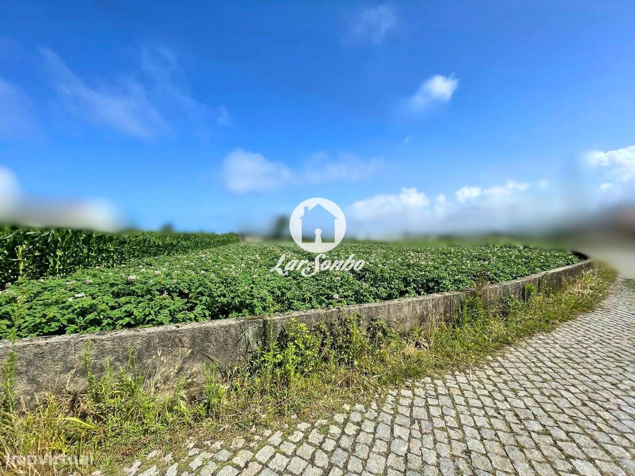 Terreno para construção em Apúlia - Grande imagem: 4/27