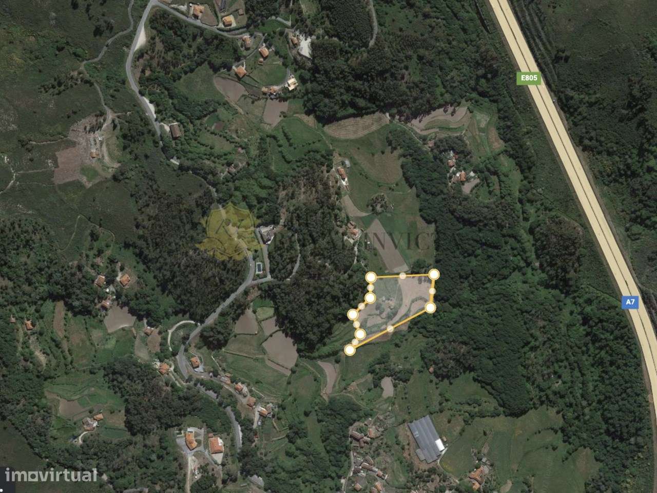 Quinta  Ribas Celorico de Basto + Pinhal - Oportunidade Turismo Rural - Grande imagem: 5/9