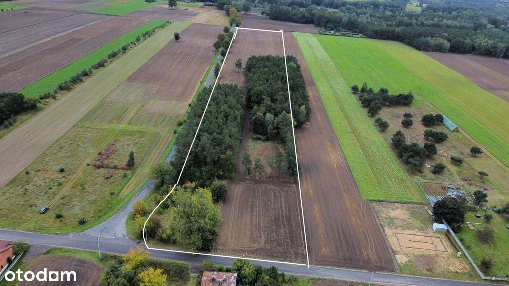 8 działek siedliskowo-budowlanych - Pełny obrazek: 4/12