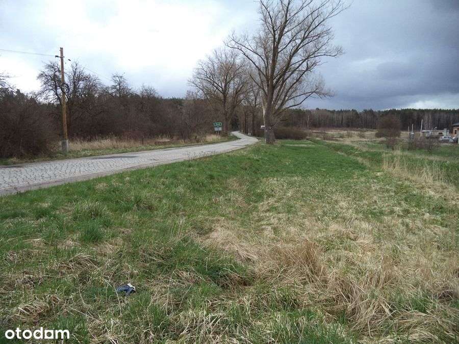 działka w Siodle - Pełny obrazek: 5/11