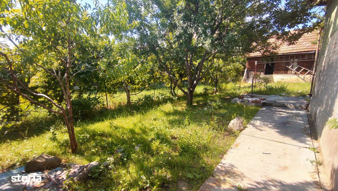 Vând casă cu teren mare în cartierul Dâmbul Rotund-3