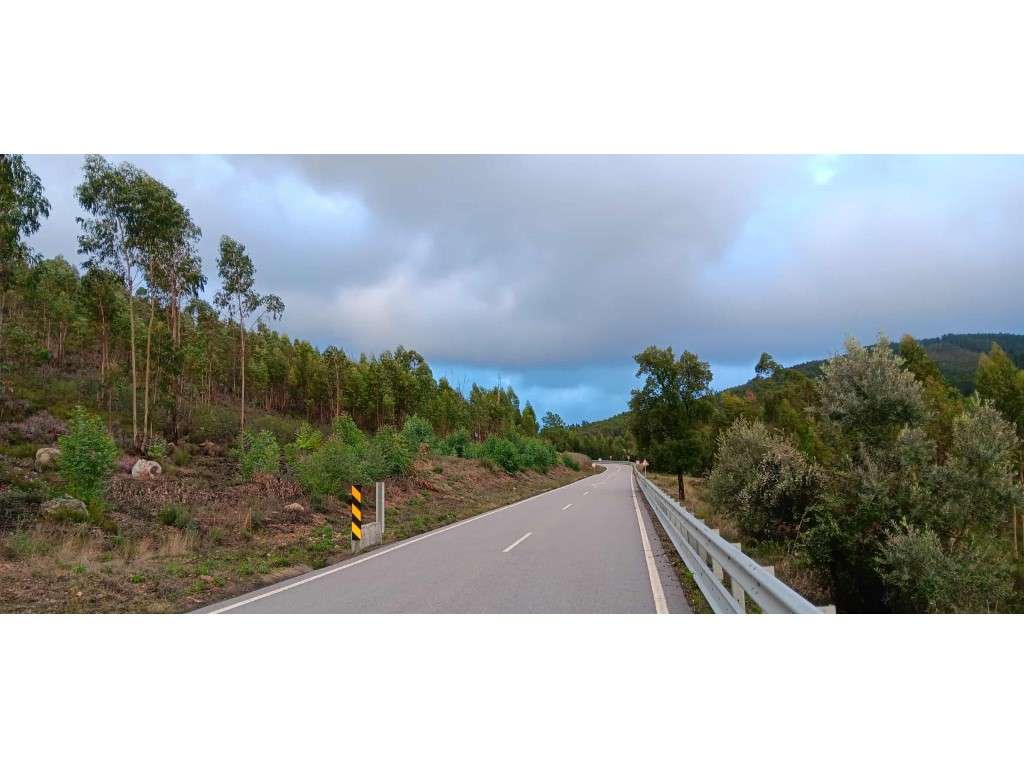 Terreno Rústico - 840 m² - Olharão, Mação - Grande imagem: 4/4