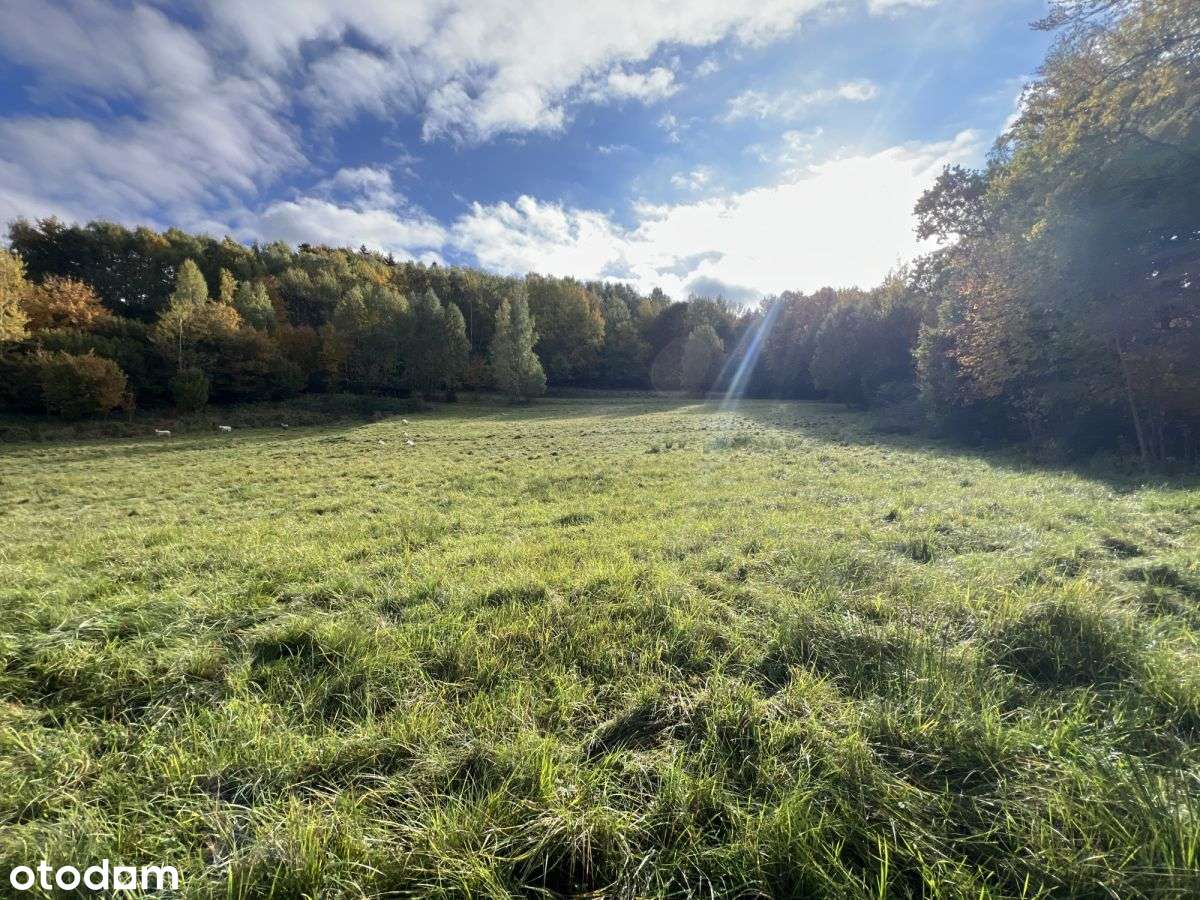 Widokowa działka rekreacyjna-0