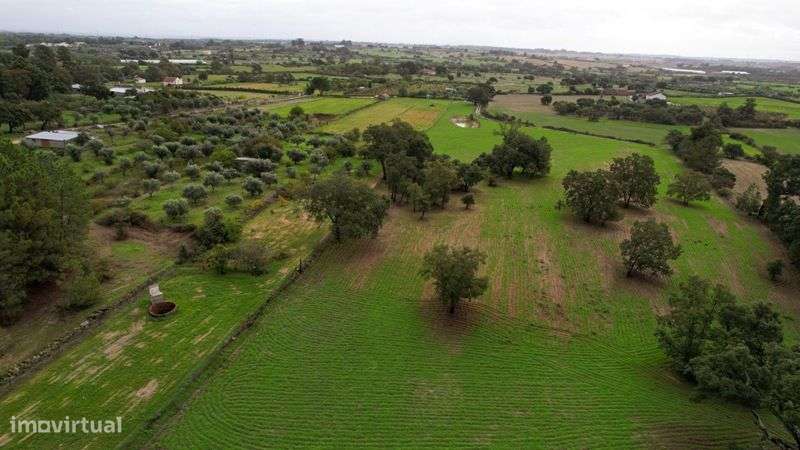 Terreno - Grande imagem: 5/7