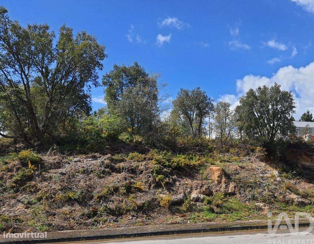 Terreno em Nossa Senhora da Piedade de 420,00 m2 - Grande imagem: 5/30