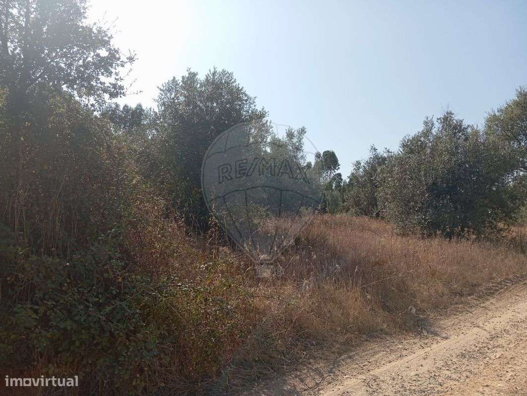Terreno  para venda - Grande imagem: 2/4