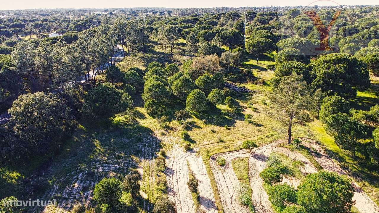 Quinta em Melides - Grande imagem: 5/43