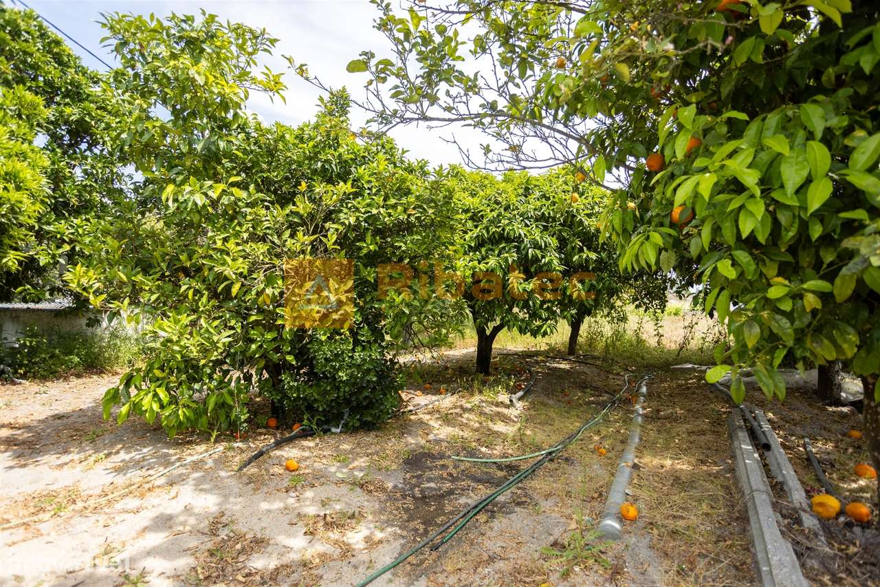 Moradia nas Fazendas das Figueiras, Branca-33