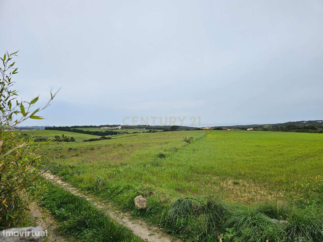 Terreno Rústico | 14160m2 | Sintra | Fontanelas | Av. Nossa Senhora da-11