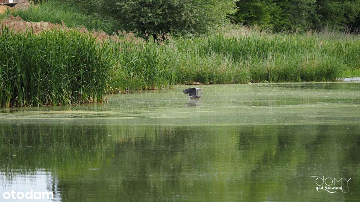 Zarezerwowana - Działka budowlana w wyjątkowym otoczeniu |1319/339-8