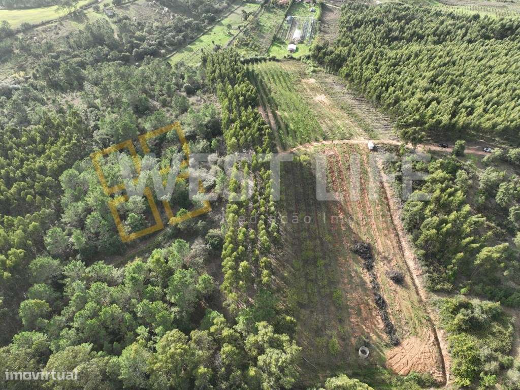 Terreno Agrícola de 8875m2 - Excelente exposição solar - Sobral da ... - Grande imagem: 3/19