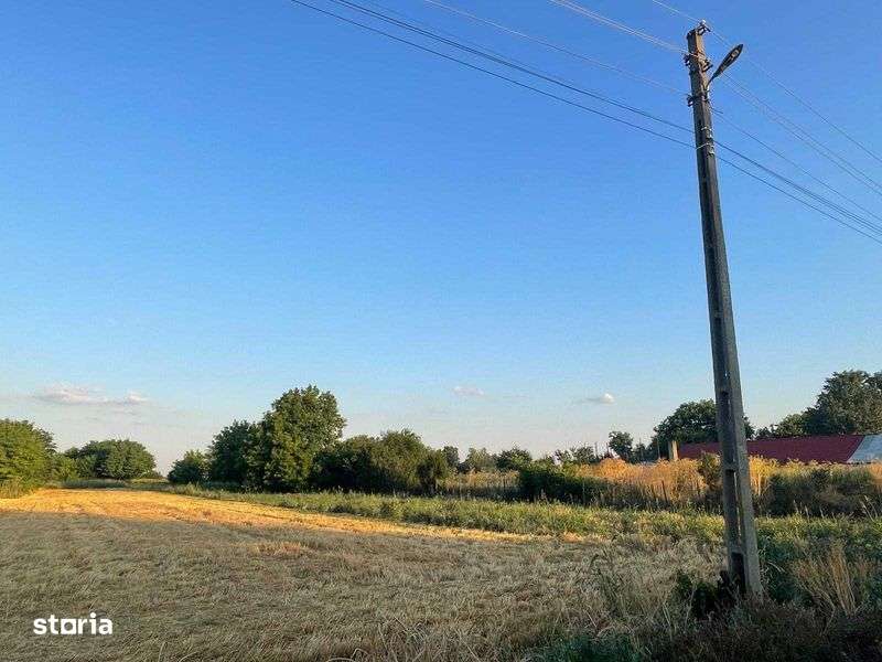 Movilita-Rosiori - Imagine principală: 4/4