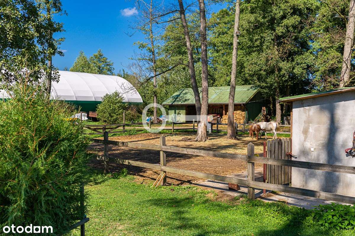 Rancho | Magiczne miejsce | Stajnie - Pełny obrazek: 3/20