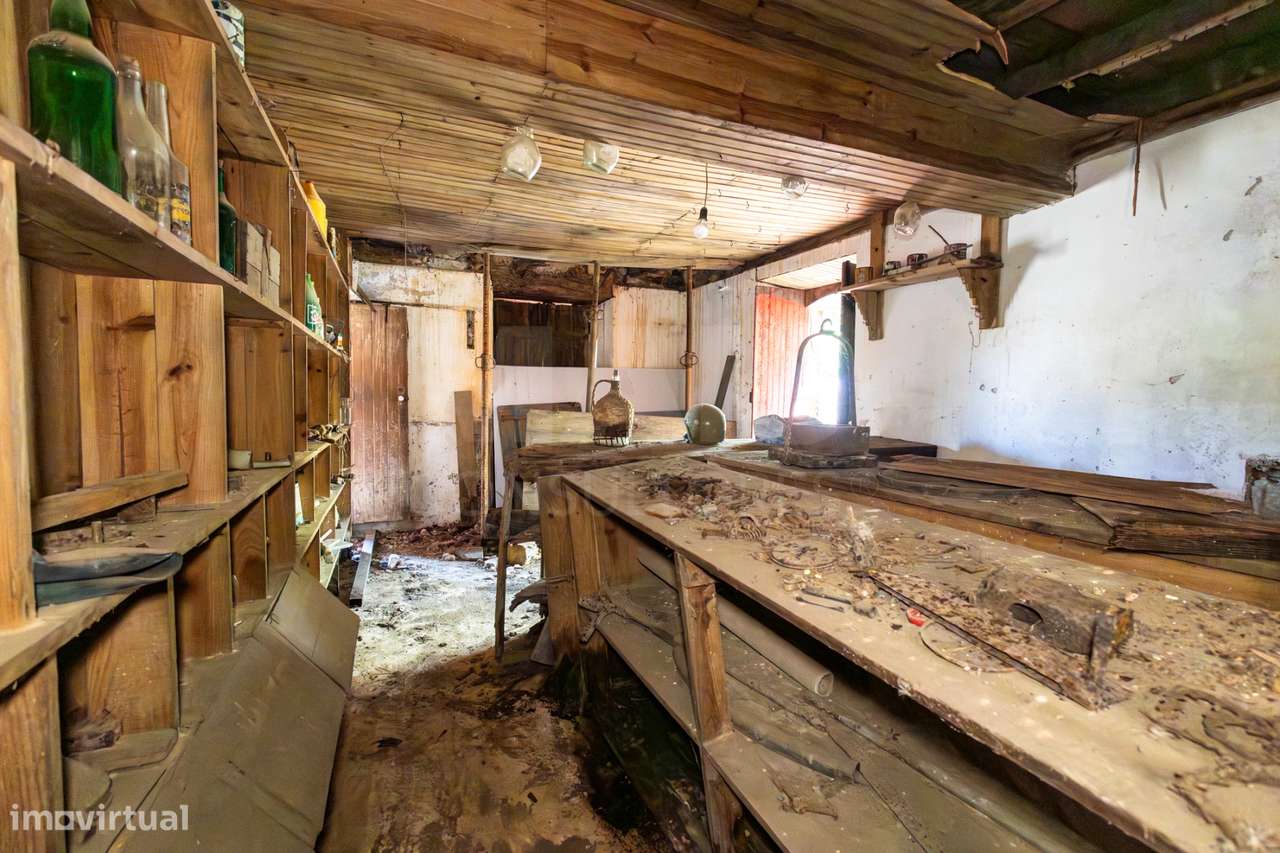 PROPRIEDADE DE CARÁTER NA N2 | 400 m² DE CONSTRUÇÃO, OLIVAL E POTEN...-30