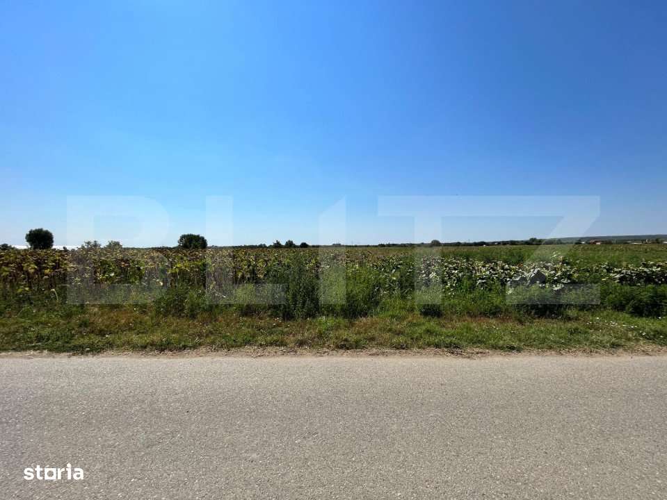 Teren 7.200 mp cu toate utilitatile la front asfaltat, Man. Jitianu, B - Imagine principală: 2/3