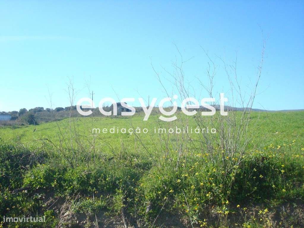 Terreno rústico de 7812 m2 - Grande imagem: 2/7