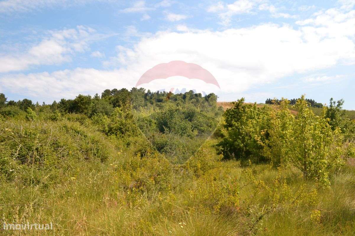 Terreno  para venda - Grande imagem: 3/20