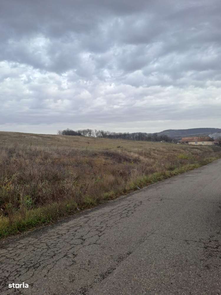 Teren extravilan la limita cu intravilanul 14 ha RECEA MICA-4