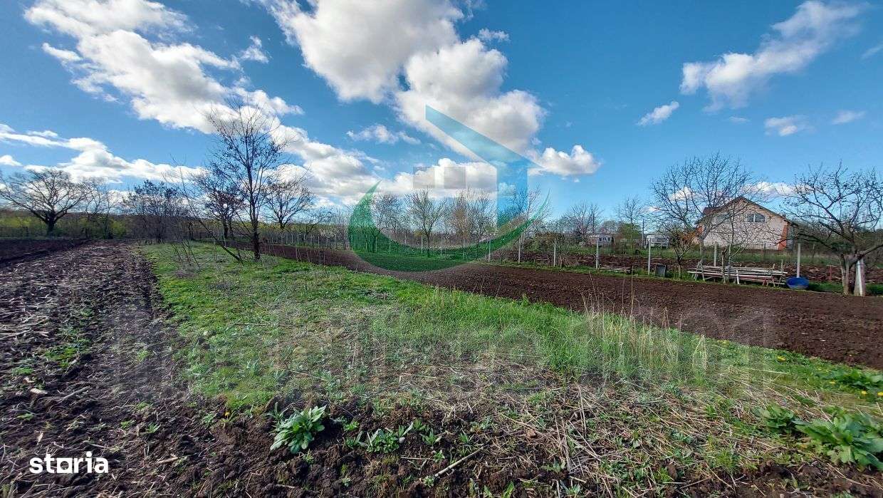 Teren intravilan, suprafata 1377 mp, acces prin strada nr. 59 - Imagine principală: 4/4