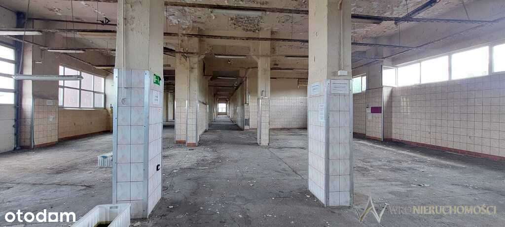 Lokal | 1200 m2 | Pod produkcję/Magazyn - Pełny obrazek: 4/7