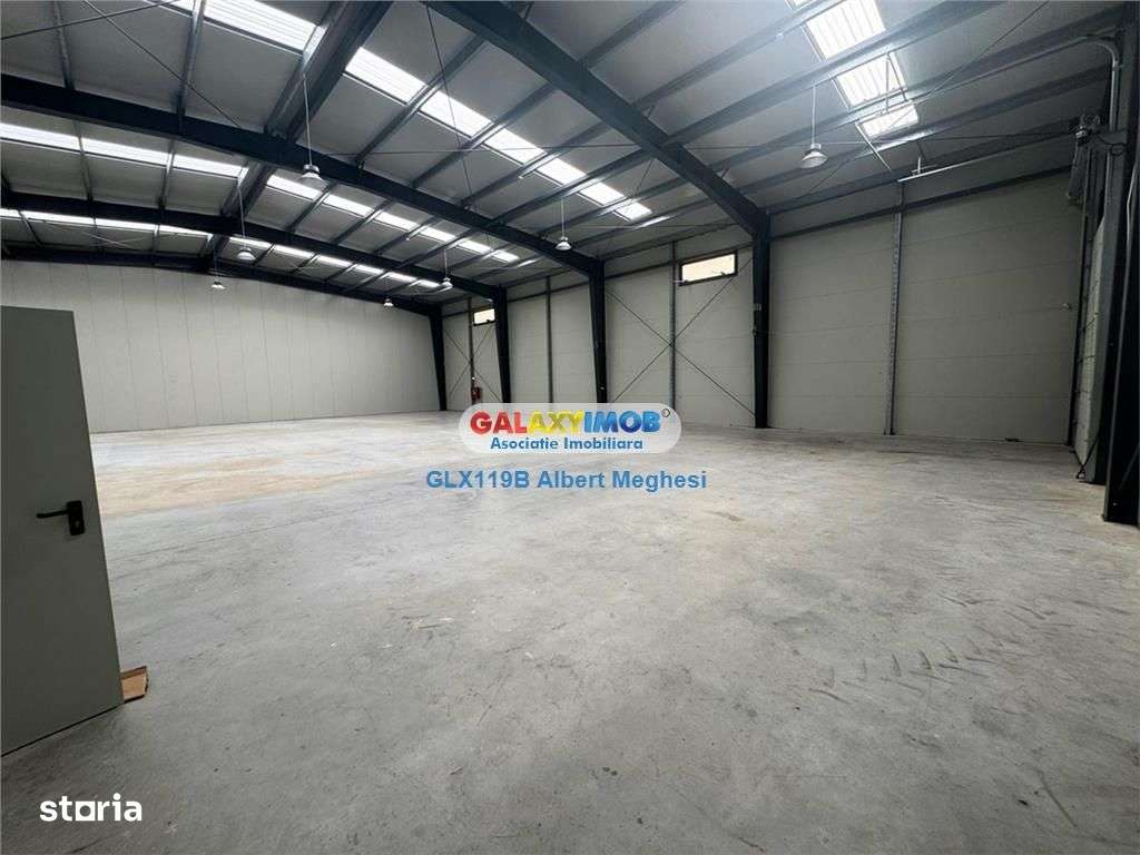 Vanzare Spatiu Depozitare\/Hala Centura-Mogosoaia - Imagine principală: 4/19
