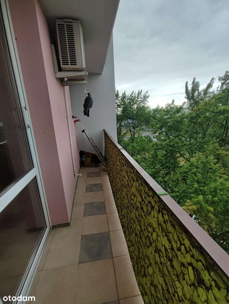 Wojska Polskiego 2 pokoje-11