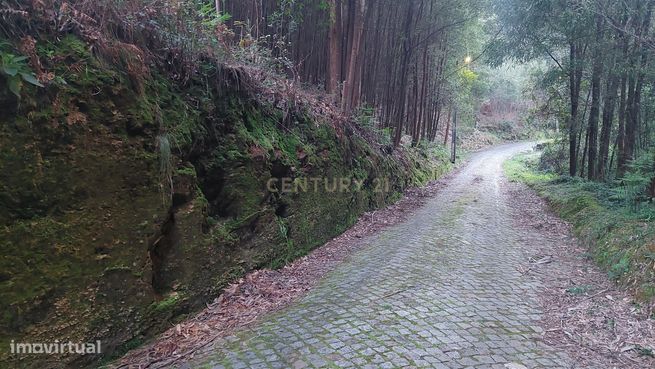 Terreno Rustico em Crestuma, Vila Nova de Gaia-3