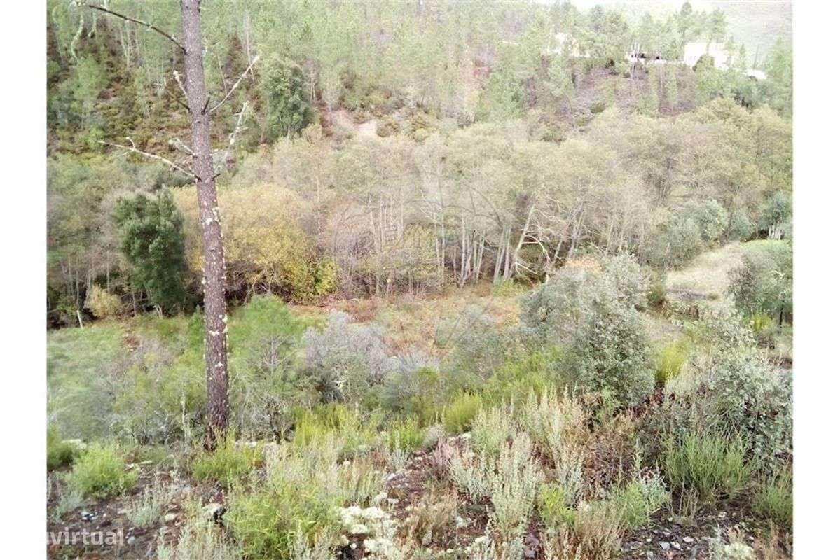 Quinta T0 para venda - Grande imagem: 5/9