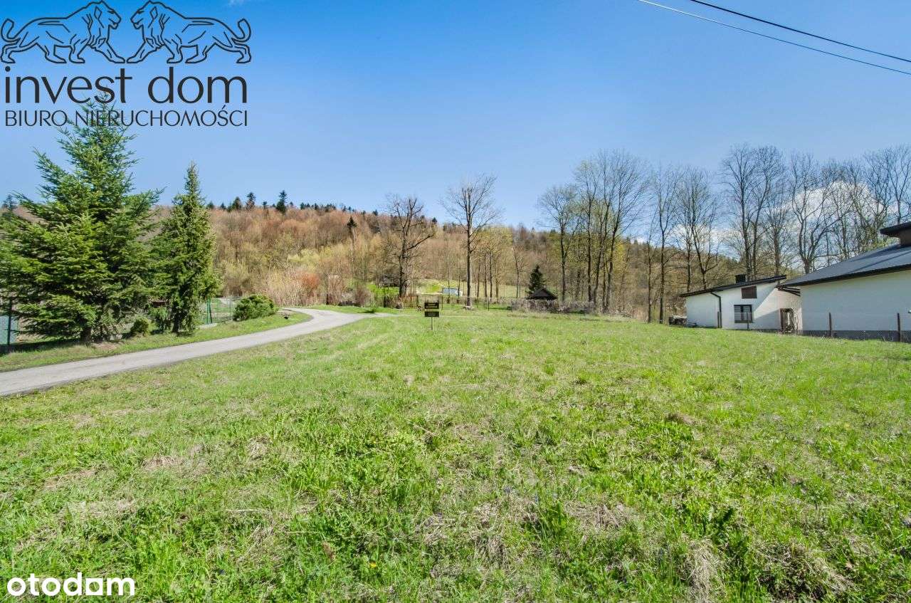 Działka rekreacyjna w Klimkówce! - Pełny obrazek: 5/9