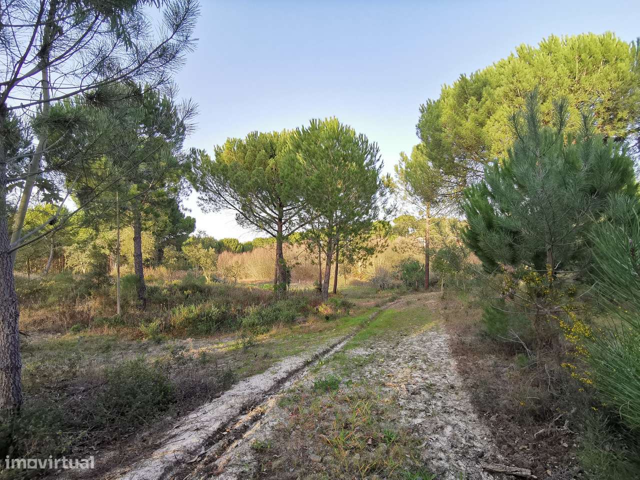 Moradia T2  Lamarosa de Coruche-46